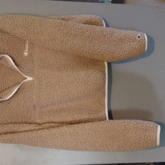 CHAMPION Teddy cropped hoodie size large - Picture 2 of 8